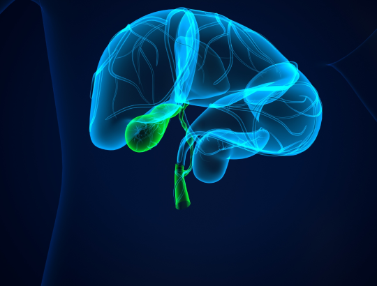 Застой желчи: как распознать, диагностировать и почему это опасно